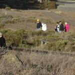 cambria2014_098 (October 25, 2013)